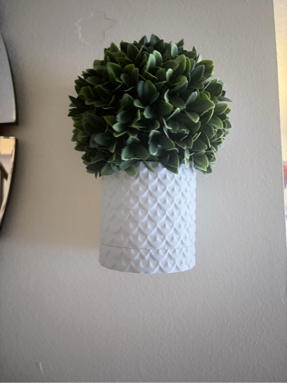 3D printed wall decor plant pot
